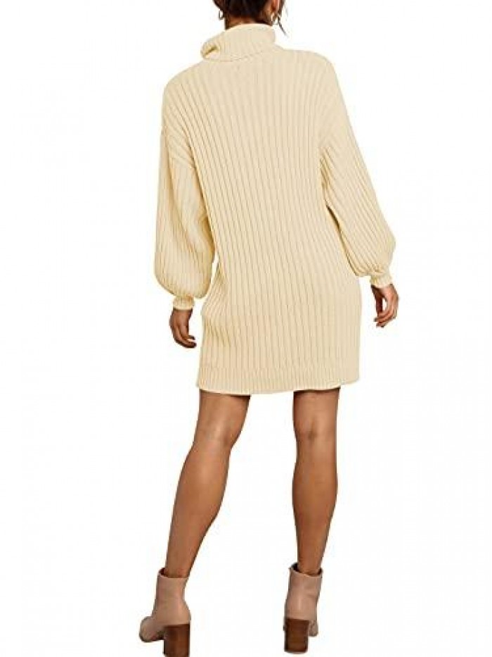 Women Turtleneck Long Lantern Sleeve Casual Loose Oversized Sweater Dress Soft Winter Pullover Dresses 